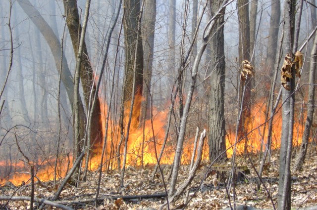 Cascade Lake brush fire, 04-22-2007