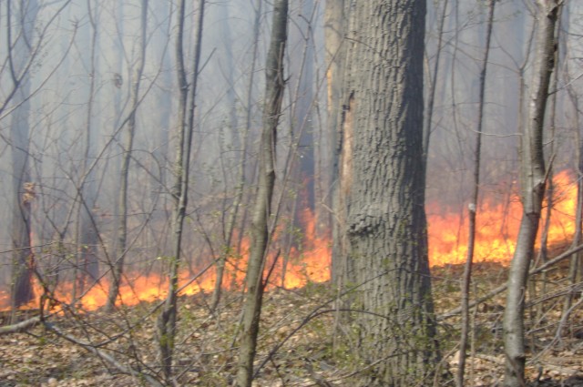 Cascade Lake brush fire, 04-22-2007